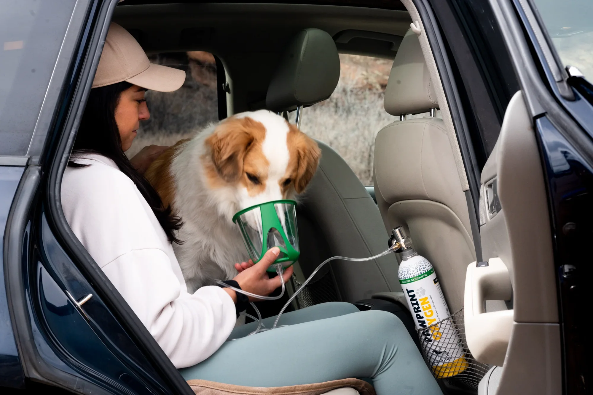 Life-Saving Oxygen for Pets